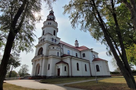 Ogłoszenia parafialne XXVII Niedziela Zwykła w ciągu roku 6 października 2024 r.