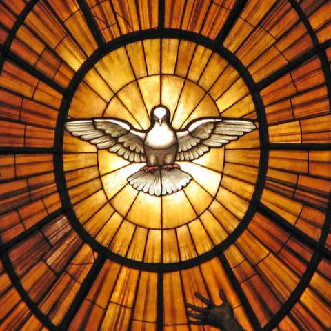 Bierzmowanie 2025/2026